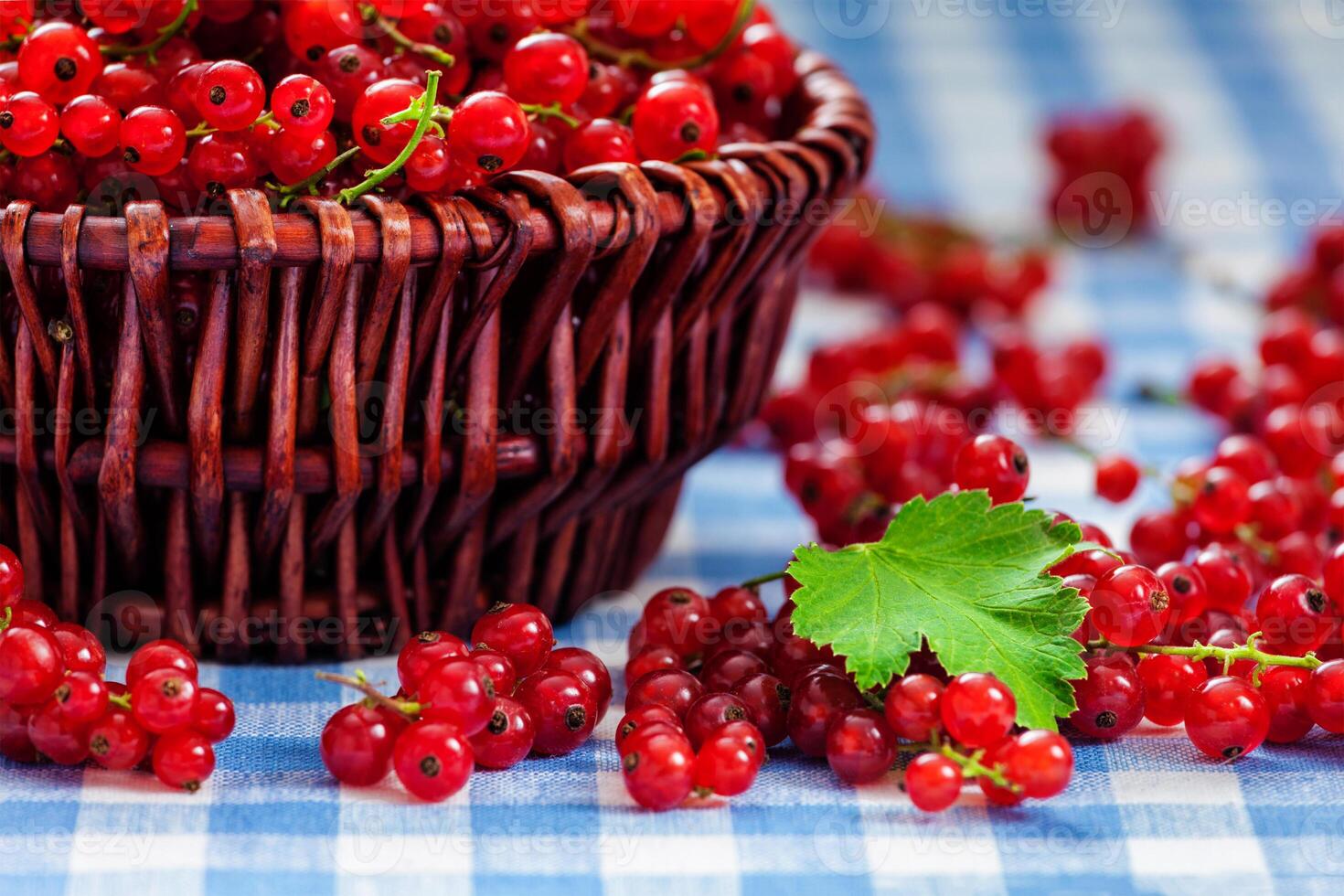 Redcurrant in wicker bowl on the table photo