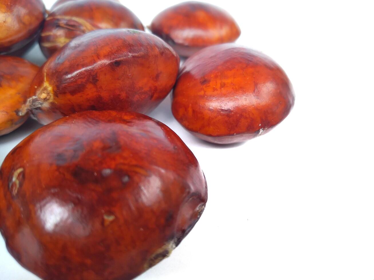 Archidendron pauciflorum, commonly known as djenkol, jengkol or jering is a species of flowering tree in the pea family, Fabaceae. It is native to Southeast Asia, where the seeds are a popular dish. photo