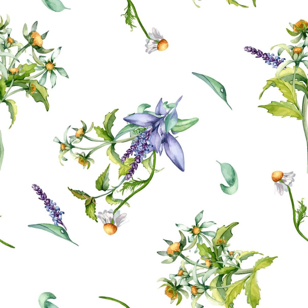 Sage herbal plant, bur-marigold watercolor seamless pattern isolated on white background. Salvia, nettle, chamomile, daisy useful flowers hand drawn. Design for label, package, home textile, wrapping vector