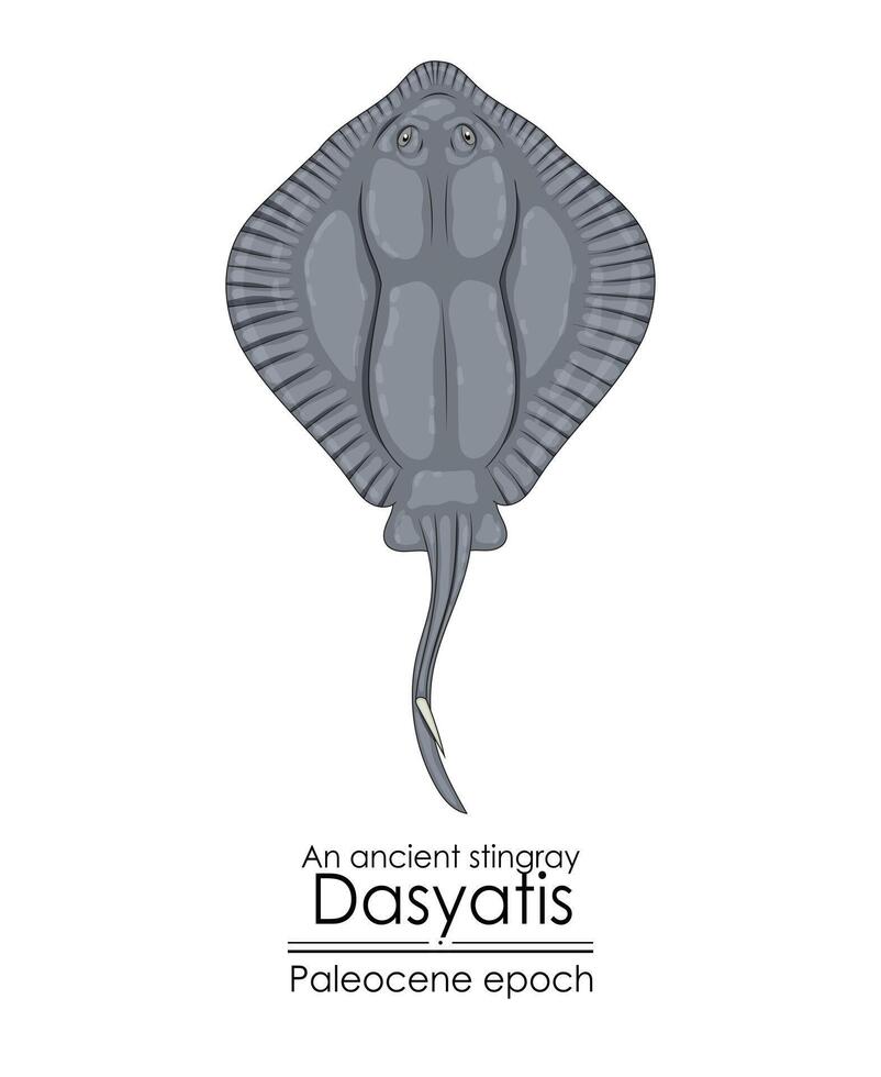 un antiguo mantarraya dasyatis, un paleoceno época criatura. vector