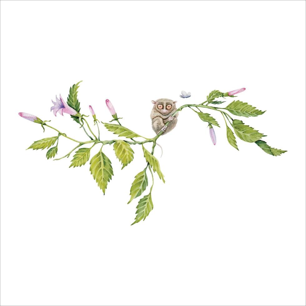 Tarsier on a green floral branch. Watercolor illustration element isolated on white background. Hand drawn painting of native Philippines endangered animal. Tiny lemur-like primate with big eyes vector