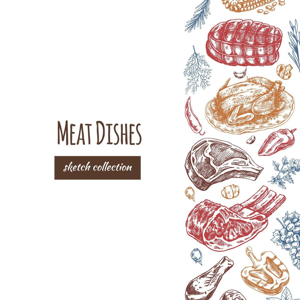 Meat and vegetables menu template in engraved vintage style. Hand-drawn colored sketches of barbecue meat pieces with herbs and seasonings. Background for meat restaurant.. vector