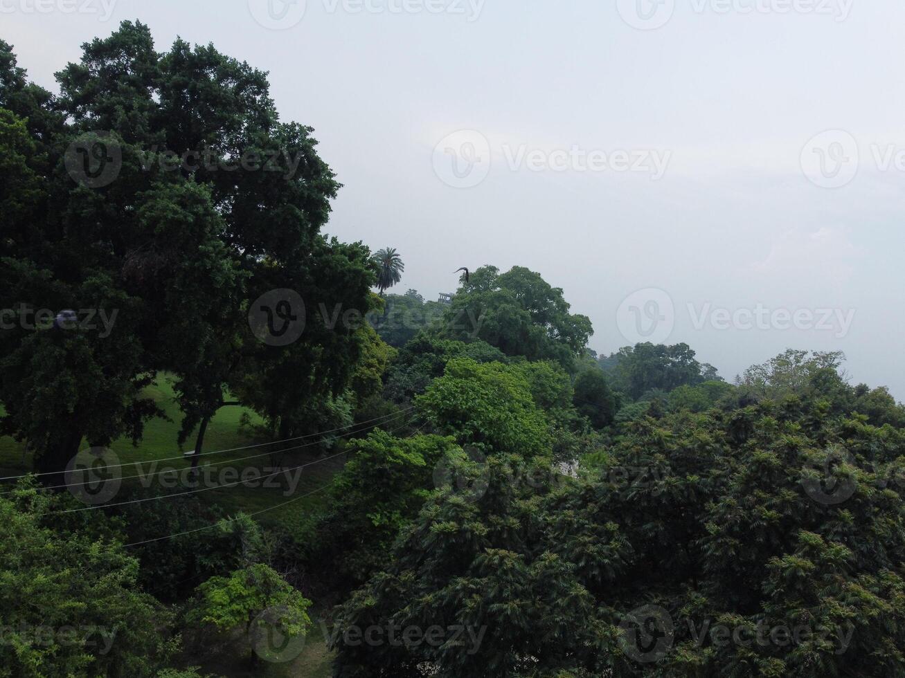 Aerial view of green city on 2023-09-17 in Lahore Pakistan photo