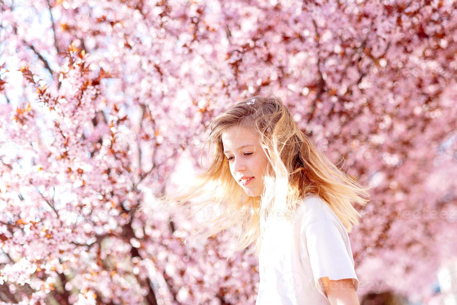 girl among beautiful cherry blossoms in full bloom photo