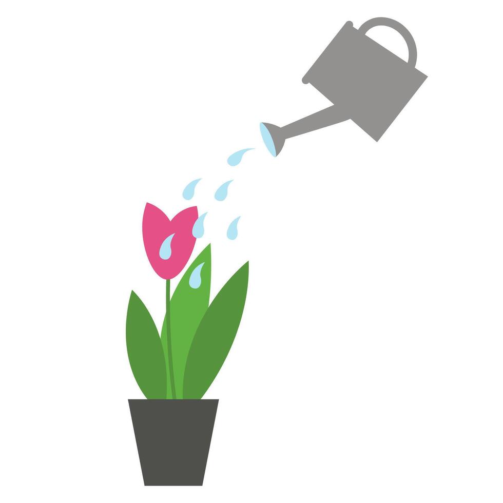 Plant and watering can with water hand drawn isolated flat vector illustration .Gardening tools, seedlings and flowers are watered from watering can, design element for print, logo, card, paper, sign