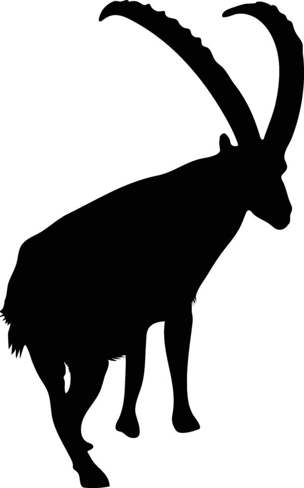 Mountain Goats Grazing on Alpine Pasture silhouette or vector
