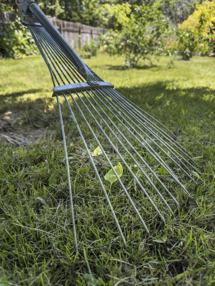 adjustable wire yard rake on green backyard lawn photo