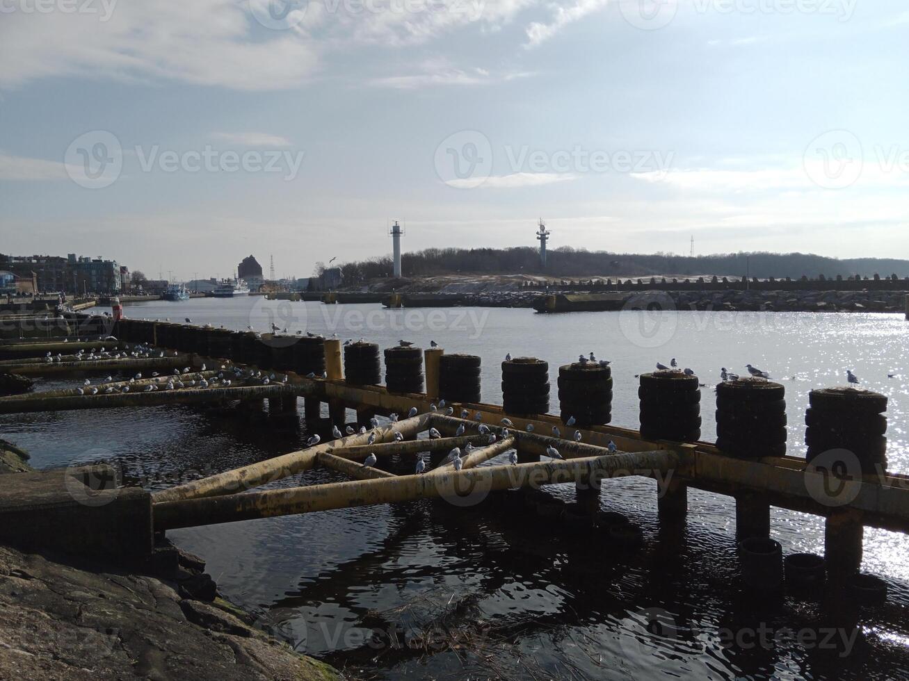 Taking a stroll along the port and pier in Kolobrzeg, Poland, offers a delightful experience with picturesque views of the Baltic Sea and the bustling maritime activity. photo