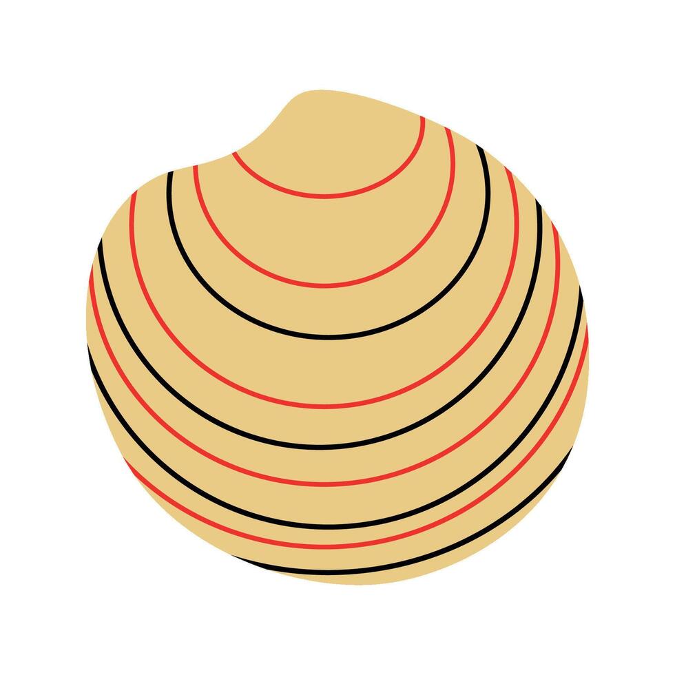 Seashell, isolated vector illustration for your design.
