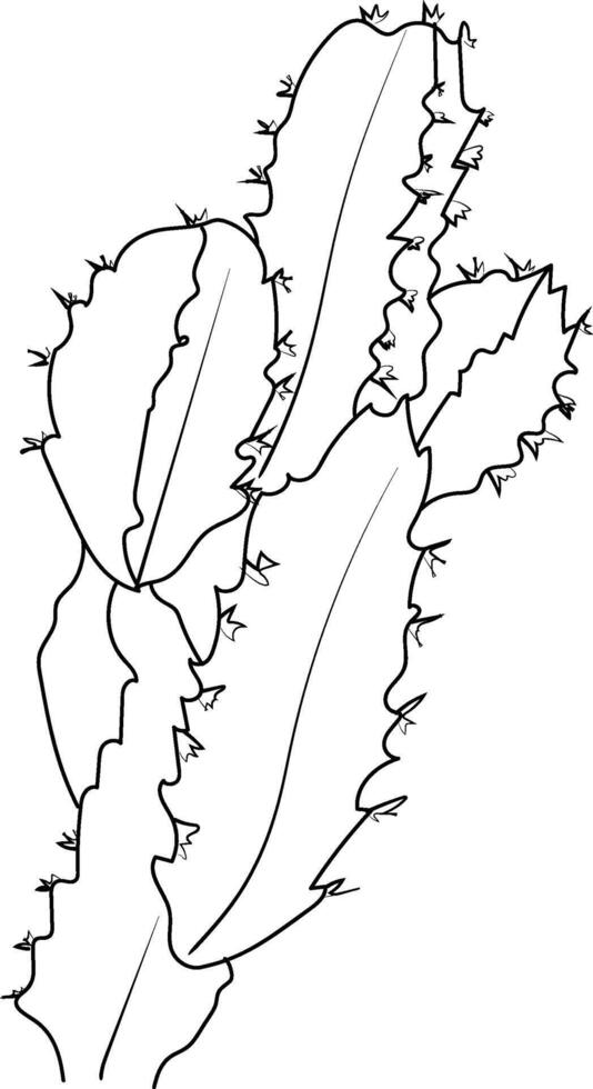 Cactus coloring pages for kids cactus illustration cactus line