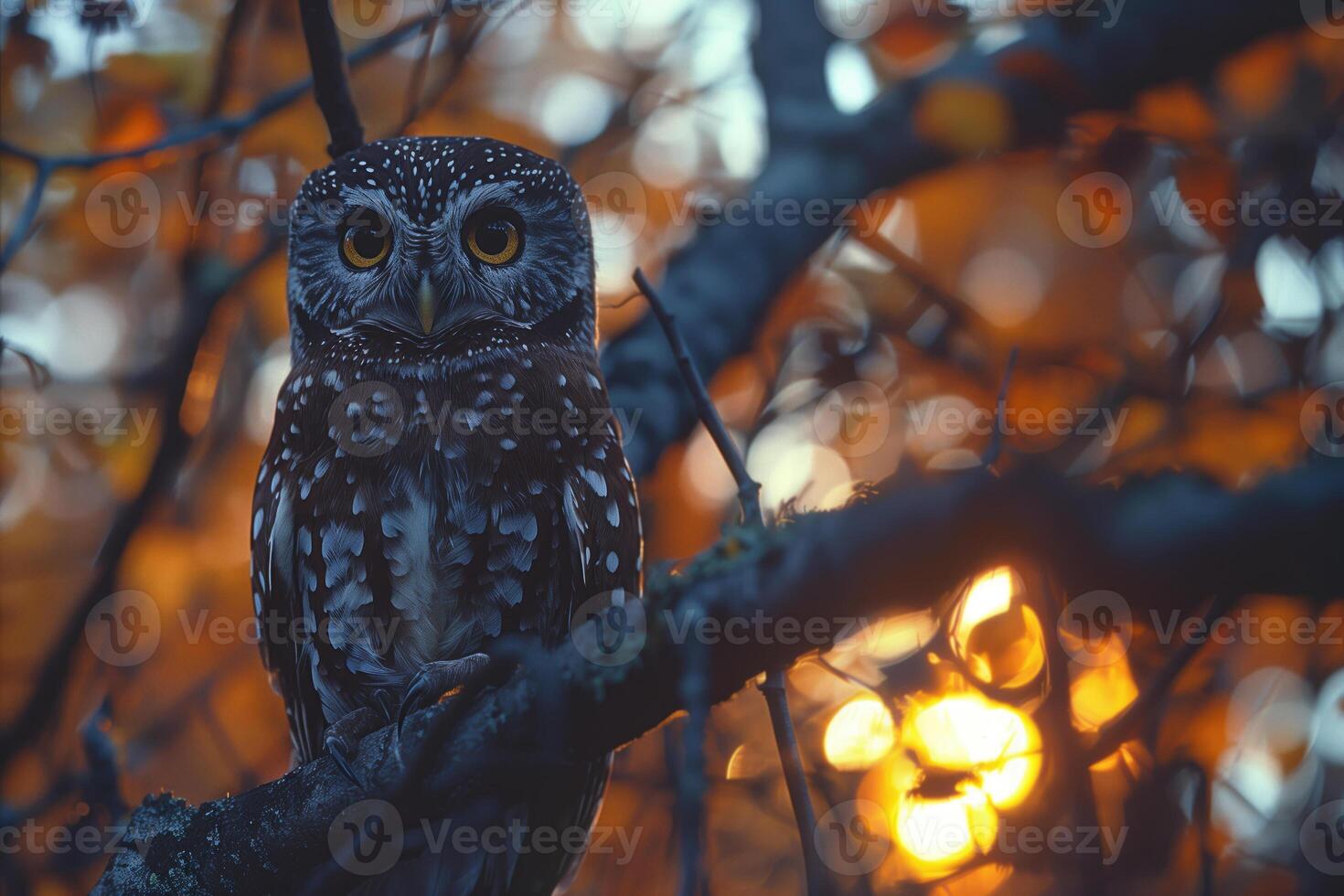 AI generated Beautiful owl sitting on a tree branch in the autumn forest. photo