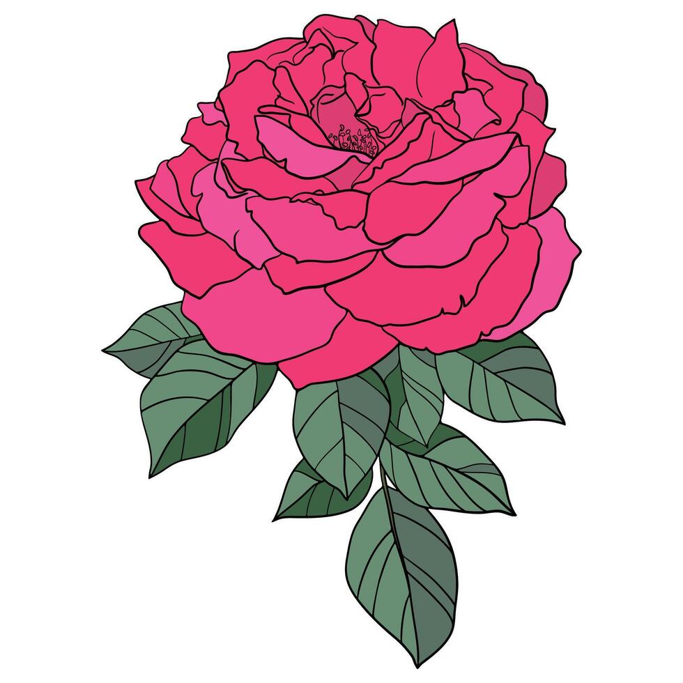 Red Bright Vector Rose