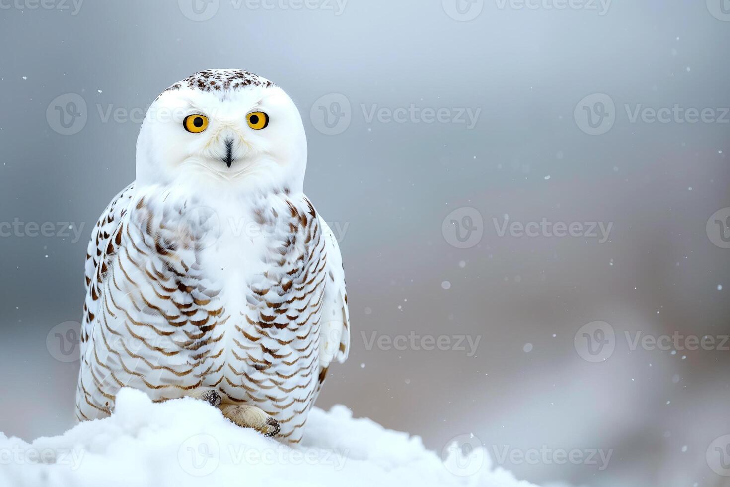 AI generated Snowy owl sitting on the plain with snowflakes.Generative Ai photo