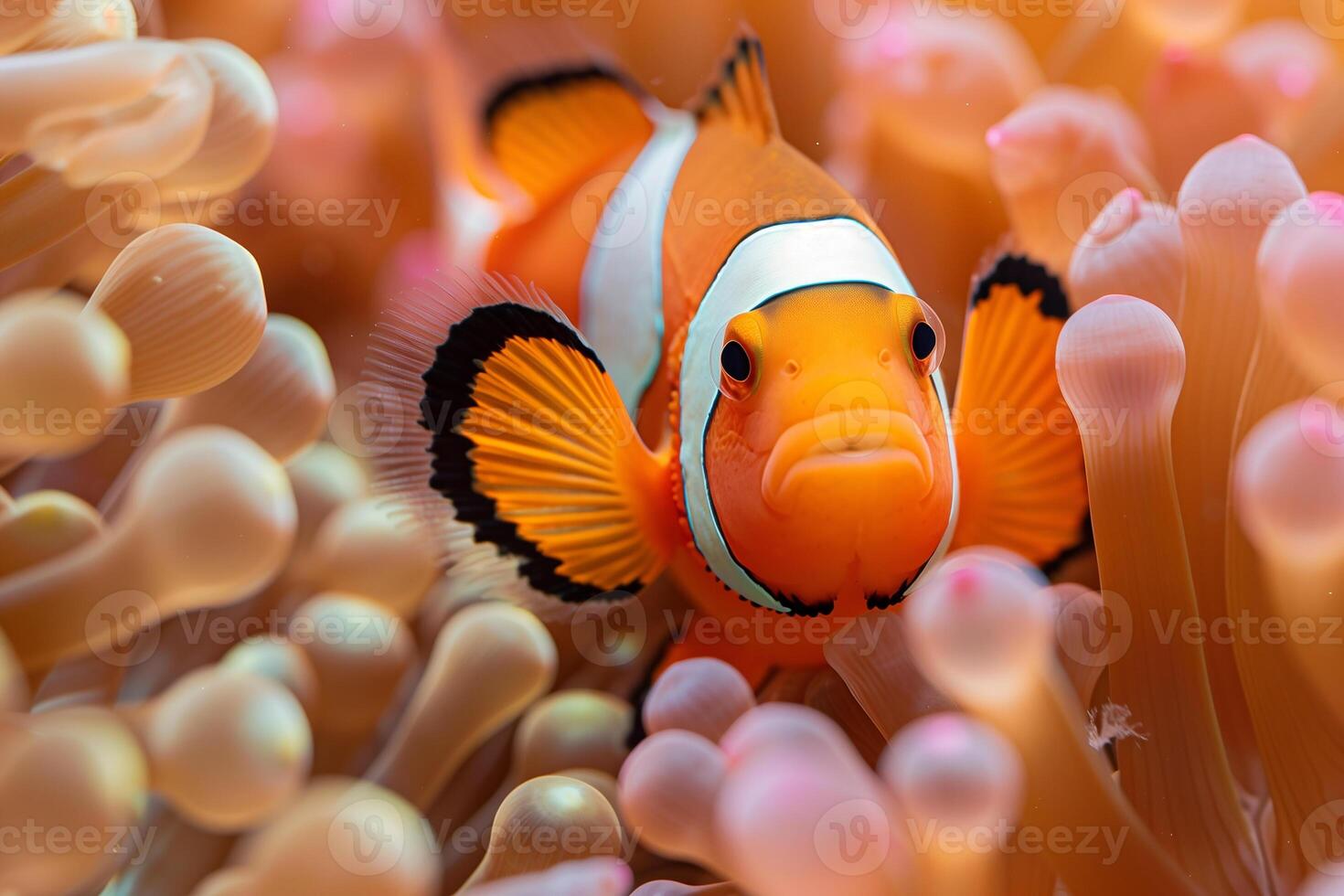 AI generated Clown fish and sea anemone.Generative AI photo