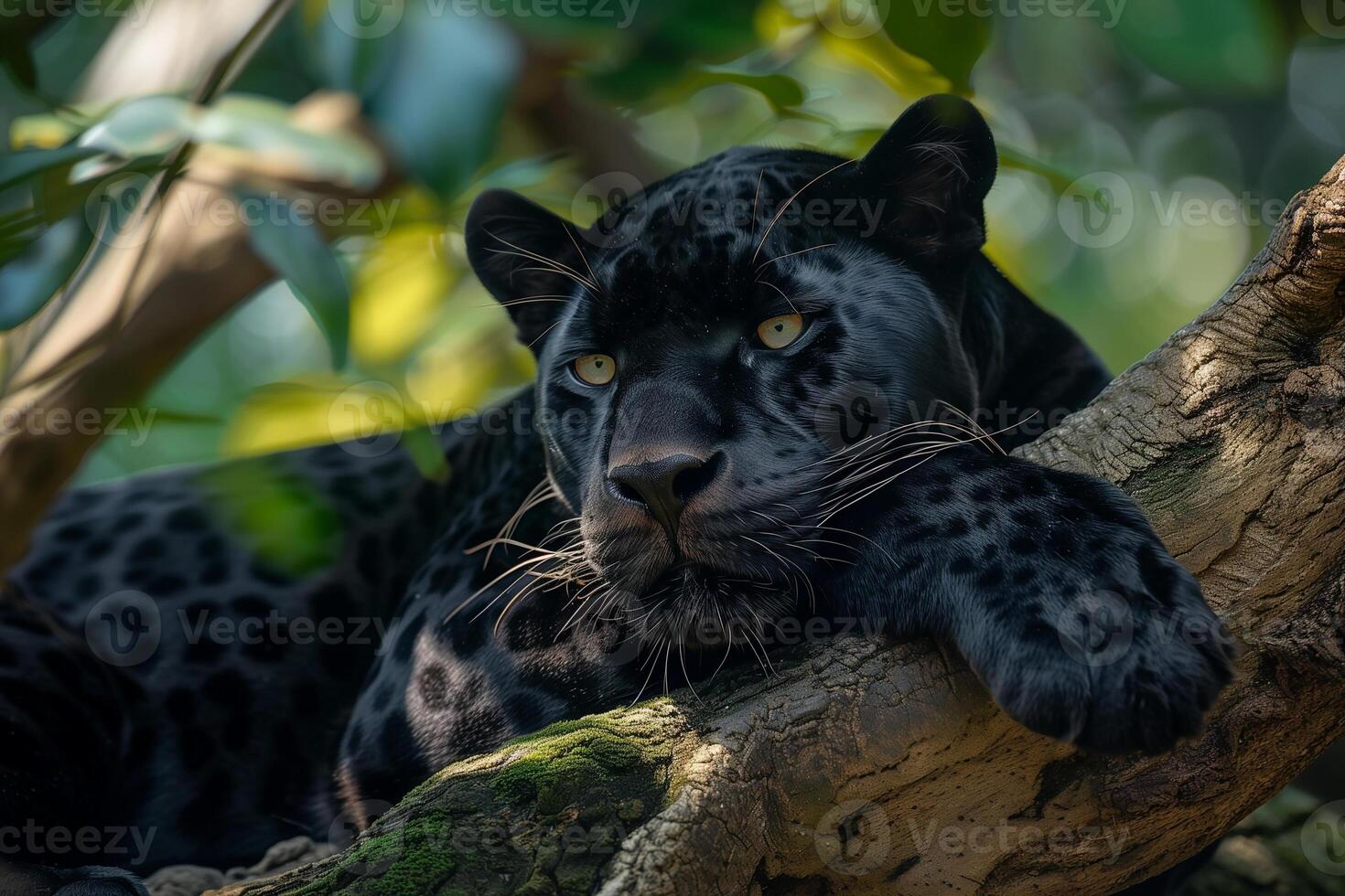 AI generated Black panther in tropical rainforest.Generative Ai photo