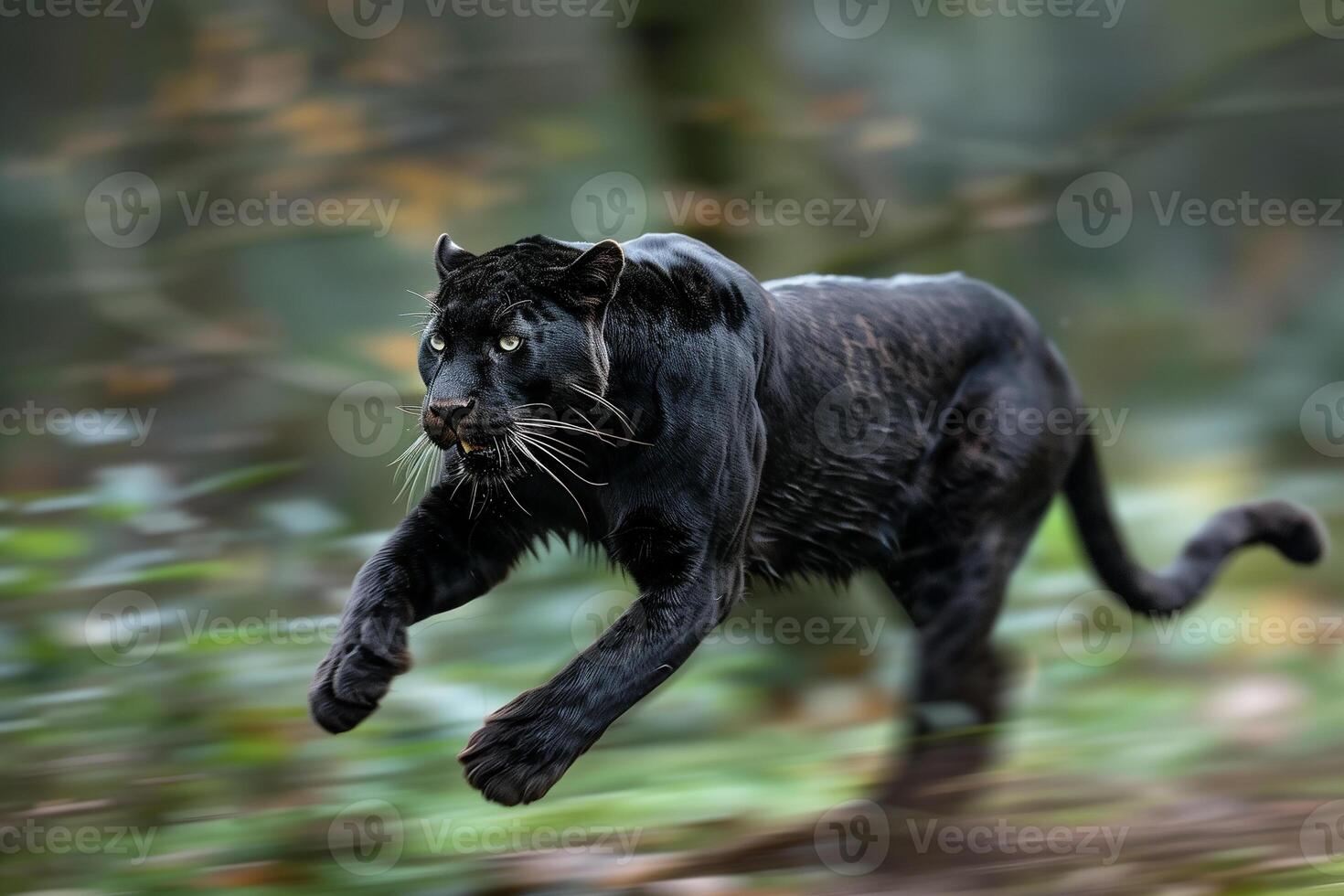 AI generated Black panther in tropical rainforest.Generative Ai photo