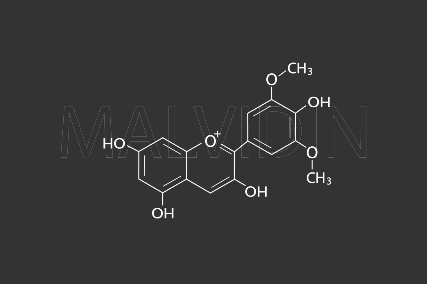 malvidín molecular esquelético químico fórmula vector