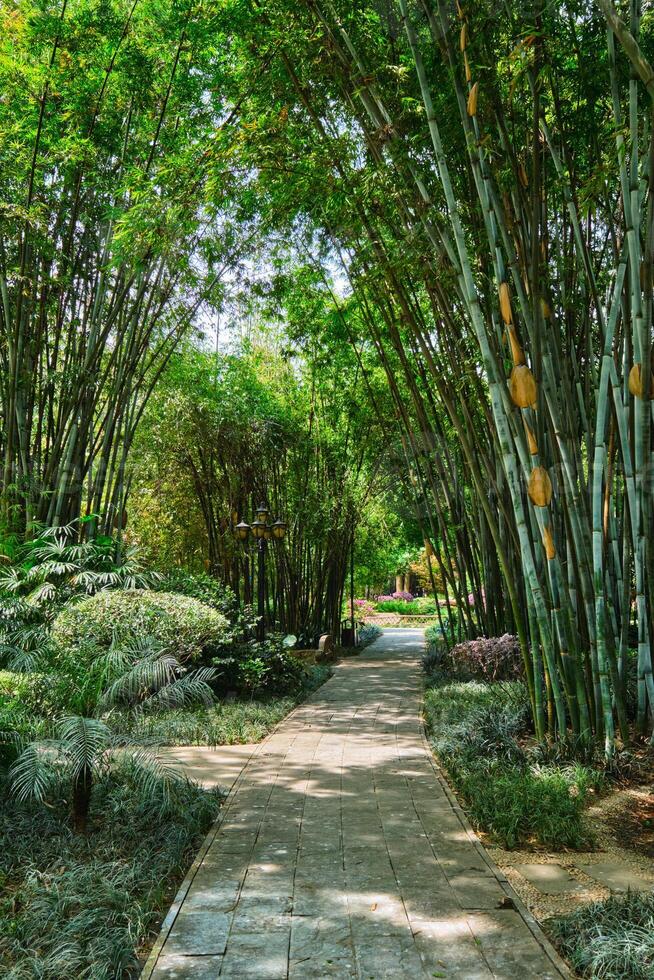 Wangjiang Pavilion in Wangjianglou park. Chengdu, Sichuan, China photo