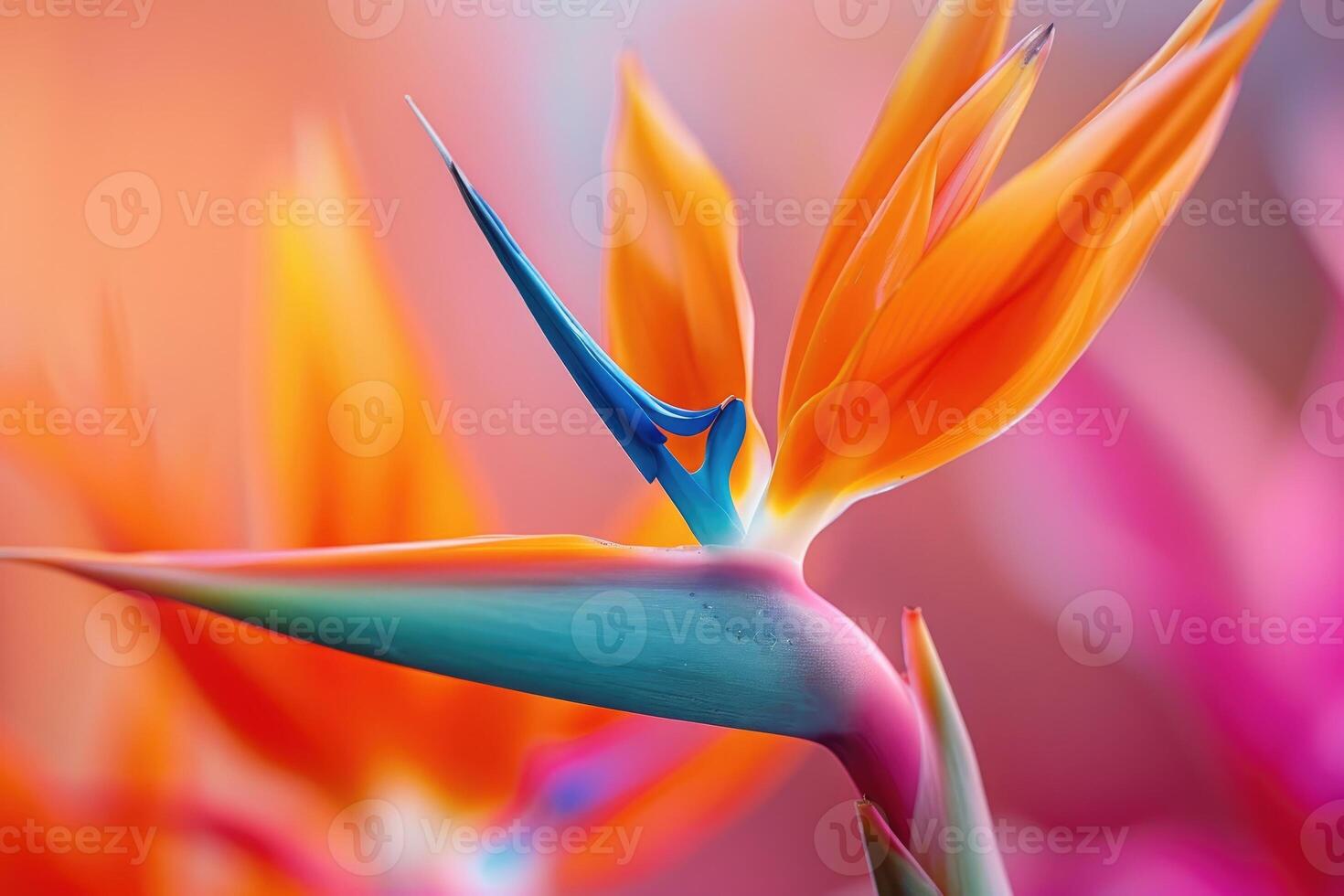 AI generated Heliconia flower strelitizia reginae also known as bird of paradise flower. photo