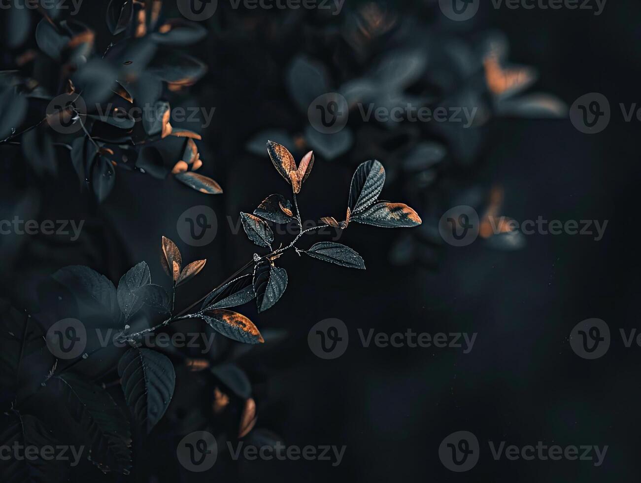 AI generated dark minimal nature scene in boho style photo