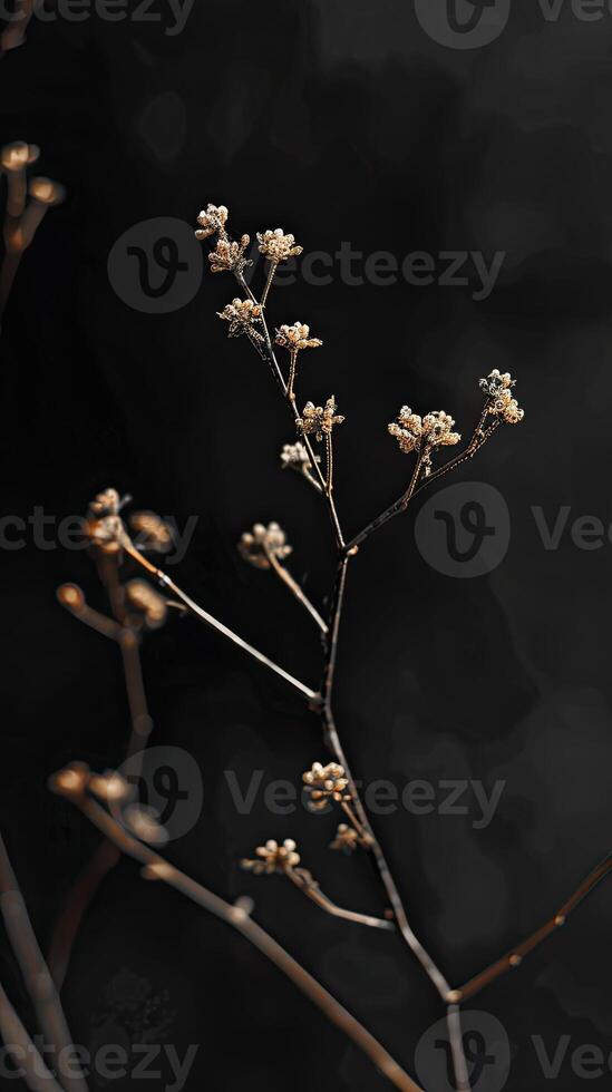 AI generated dark minimal nature scene in boho style photo
