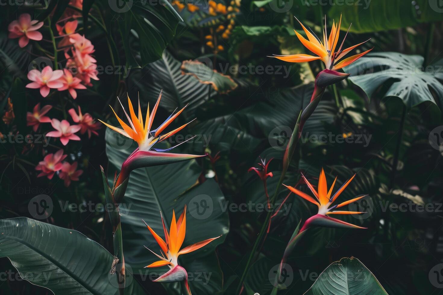 AI generated Heliconia flower strelitizia reginae also known as bird of paradise flower. photo