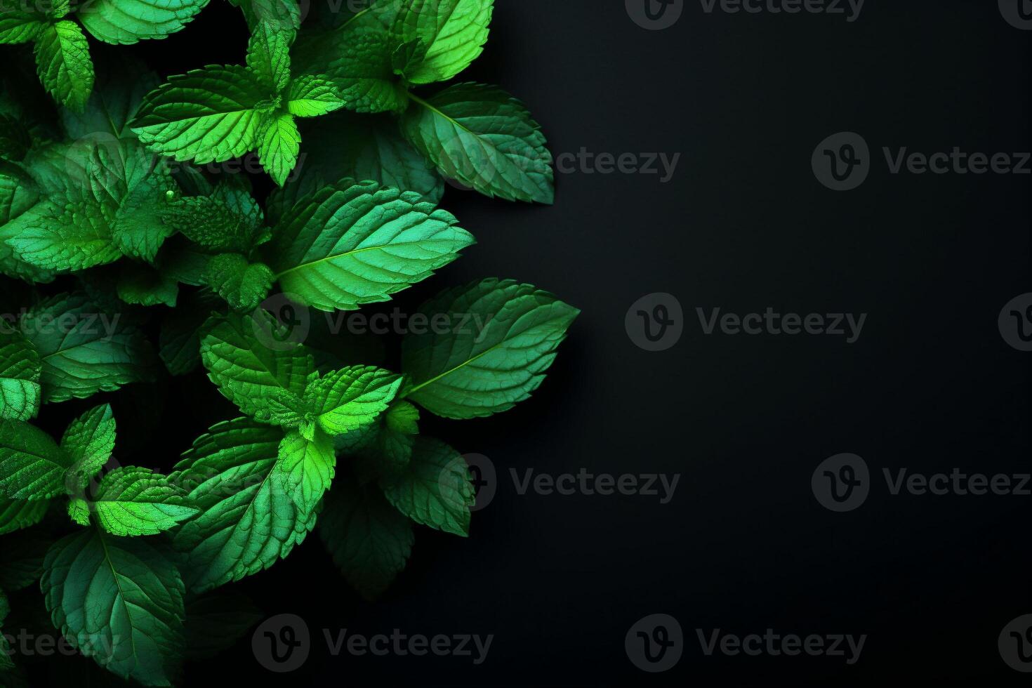 AI generated Fresh Mint Leaves on a Luxurious Black Canvas, Perfect for Culinary Concepts, Herbal Delights, and Stylish Refreshing Visuals with Copy Space photo