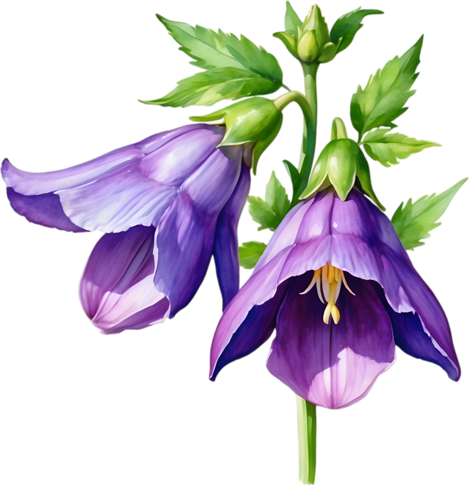 AI generated Watercolor painting of Creeping bellflower flower. png