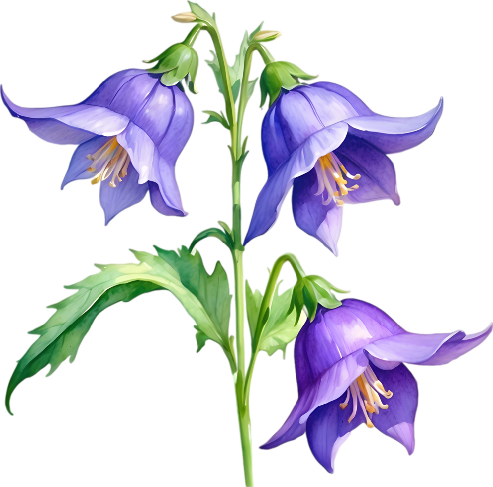 AI generated Watercolor painting of Creeping bellflower flower. png