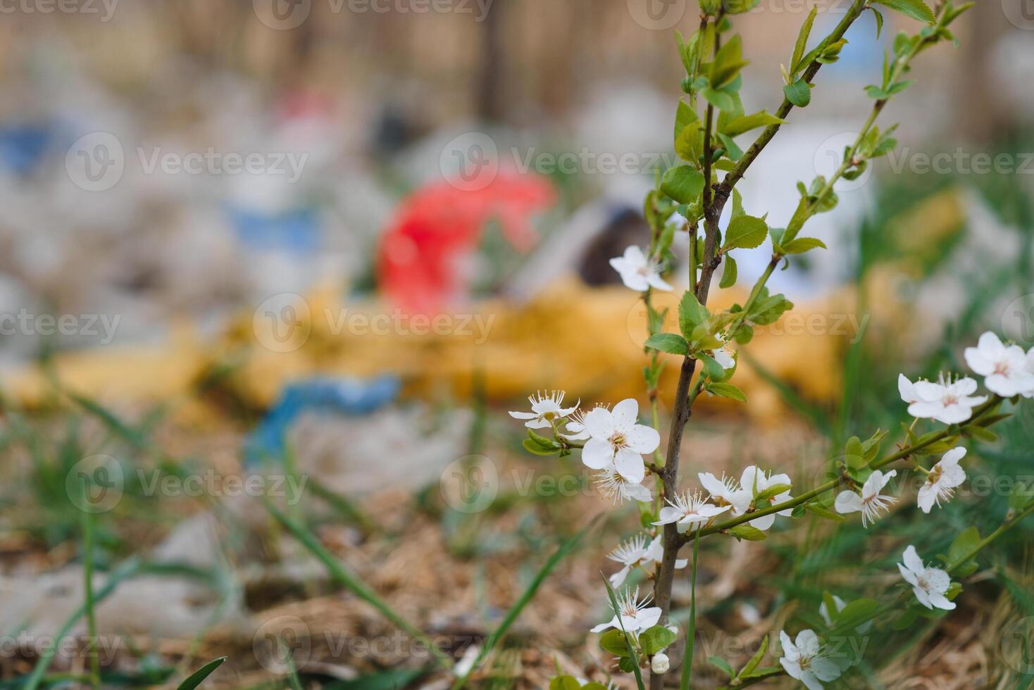 tierra con basura, basura tugurio paisaje de ecológico dañar contaminado tierra., el plastico chatarra en vertedero, ambiental problemas contaminación, residuos o basura desde casa en residuos vertedero foto