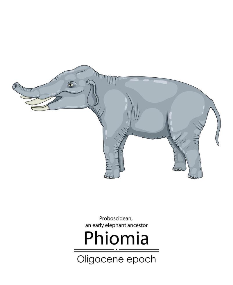 fiomia, un temprano elefante antepasado desde el oligoceno época, con nasal huesos y un muy corto trompa. vector