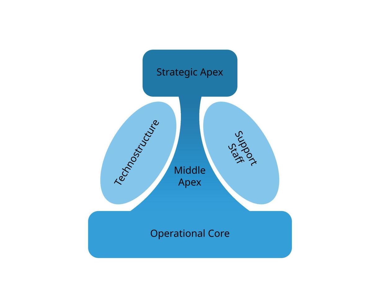 Organizational Model components for Strategic apex, middle apex, operational core, support staff, Technostructure vector