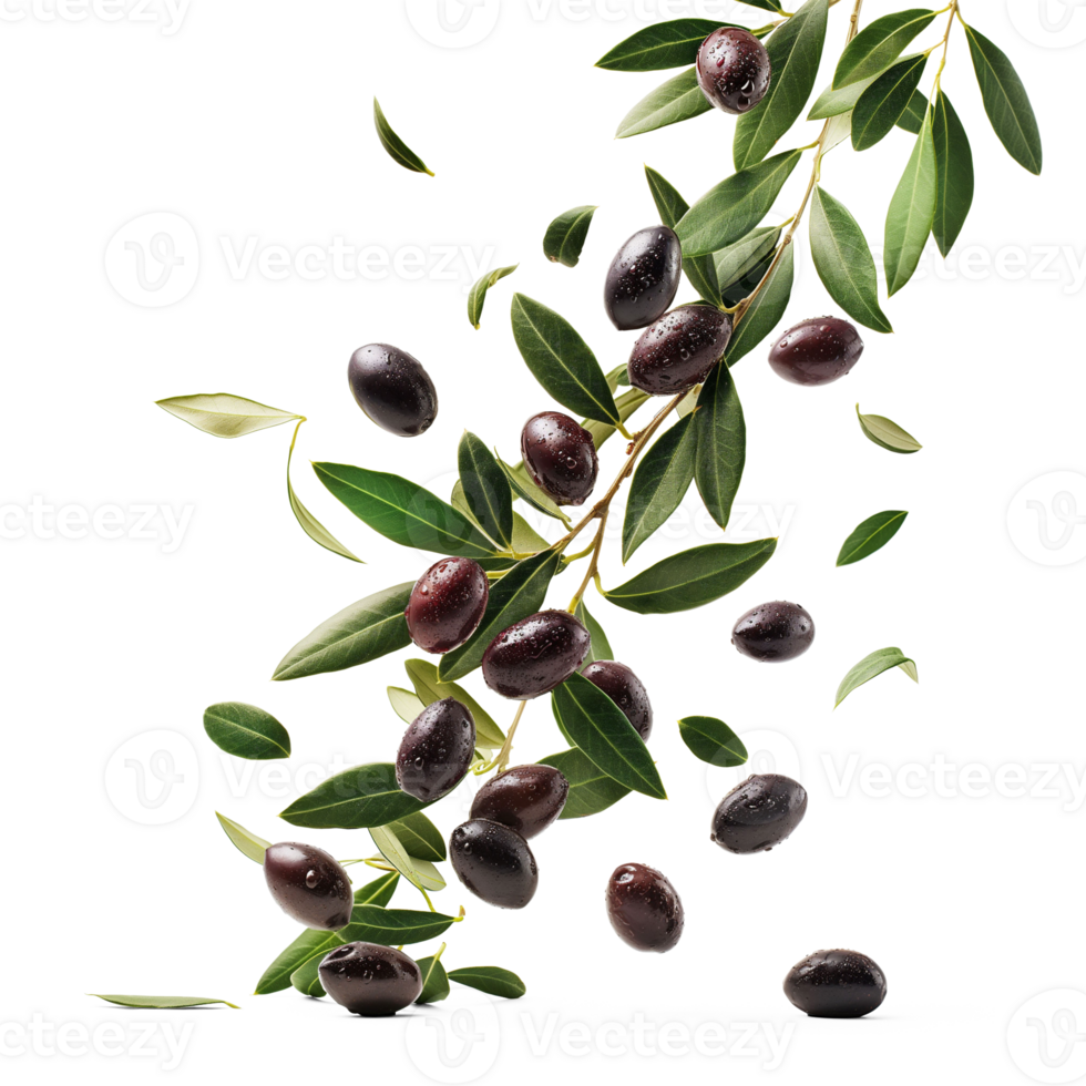 AI generated Fresh olives falling in air, healthy and organic food, AI generated, PNG transparent with shadow