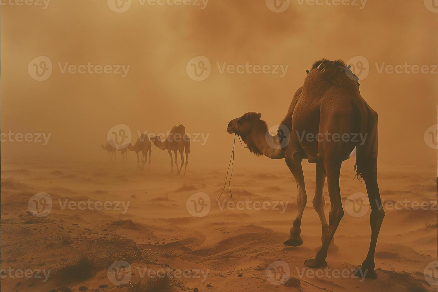 AI generated Camel caravan through the sahara desert in a sand storm.Generative Ai photo
