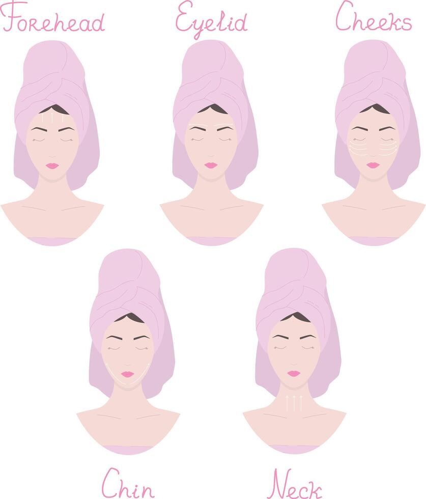 Step by step facial massage tutorial.Female face with massaging lines. vector