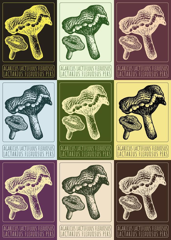 Set of vector drawing AGARICUS LACTIFLUUS FLEXUOSUS in various colors. Hand drawn illustration. The Latin name is LACTARIUS FLEXUOSUS PERS.