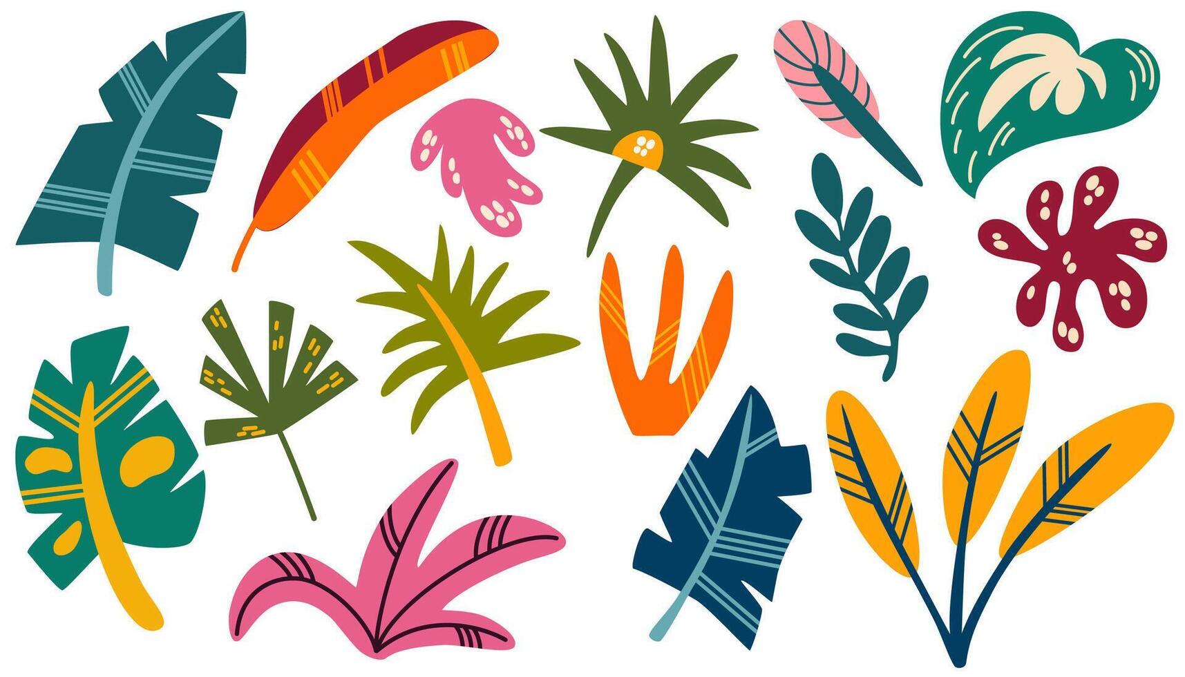 Jungle leaves set. Cartoon different tropical plants. Palm, banana, monstera. Botanical foliage elements. Summer paradise exotic leaf on white background. Vector hand draw illustration