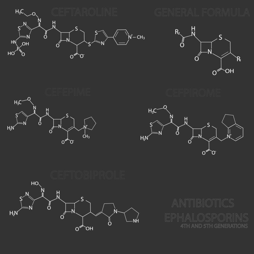 antibióticos cefalosporinas molecular esquelético químico fórmula vector