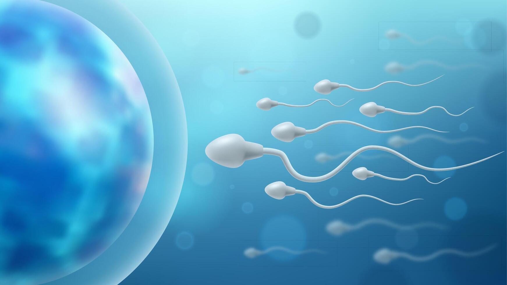 Sperm and Egg Cell. Sperm Approaching Egg Cell. Sperm Swim to Ovum Cell. Laboratory Science Concept, Vector Illustration