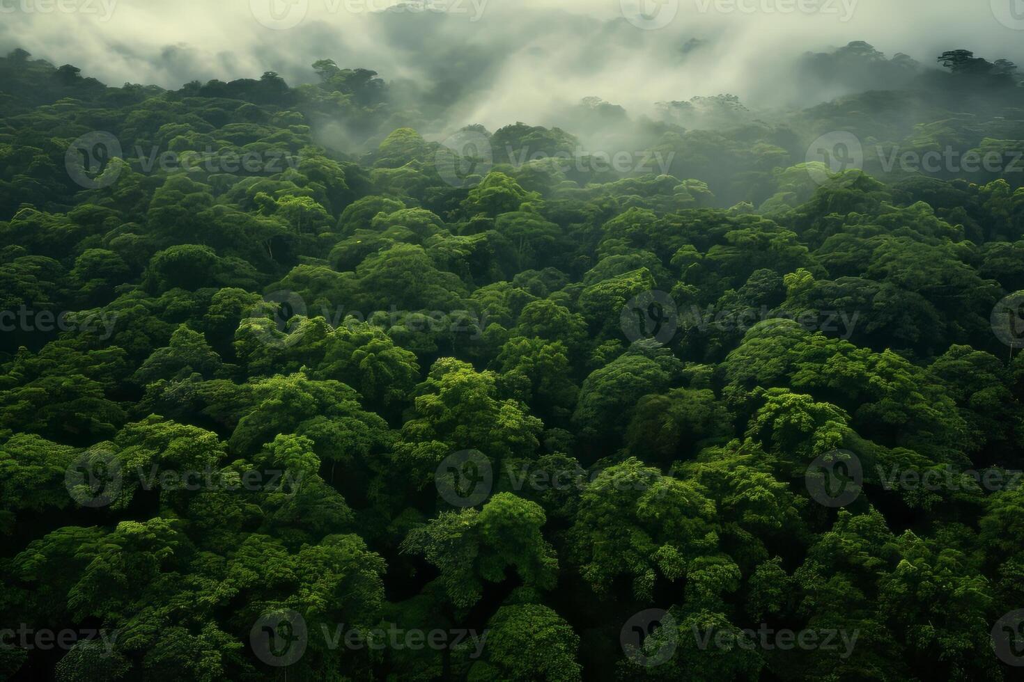 AI generated Aerial view of a lush, green forest canopy stretching for miles. Generative AI photo