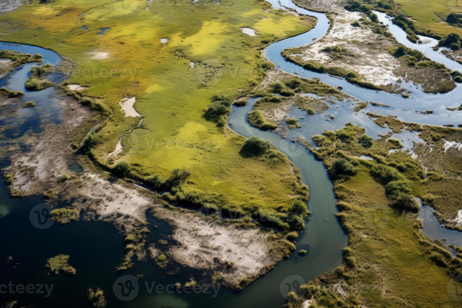 ai generado un aéreo ver de un humedal rebosante con avifauna, ilustrando el Rico biodiversidad ese depende en consistente agua calidad supervisión. generativo ai foto