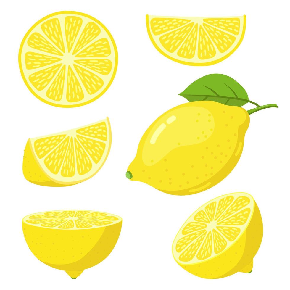 Lemon slices. Citrus fruit slice, juicy yellow lemons, sliced fresh lemons, vitamin c vegetarian ripe citrus fruits vector illustration sets