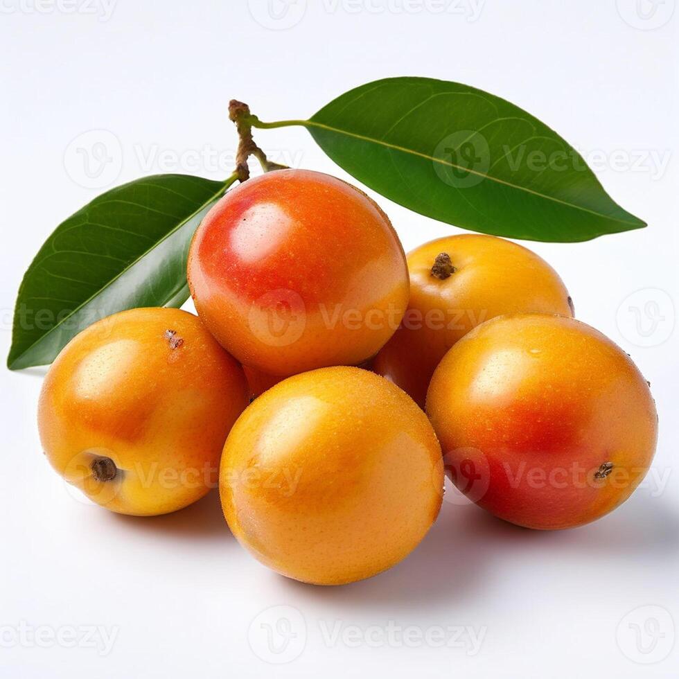 AI generated loquat fruit isolated on a white background photo