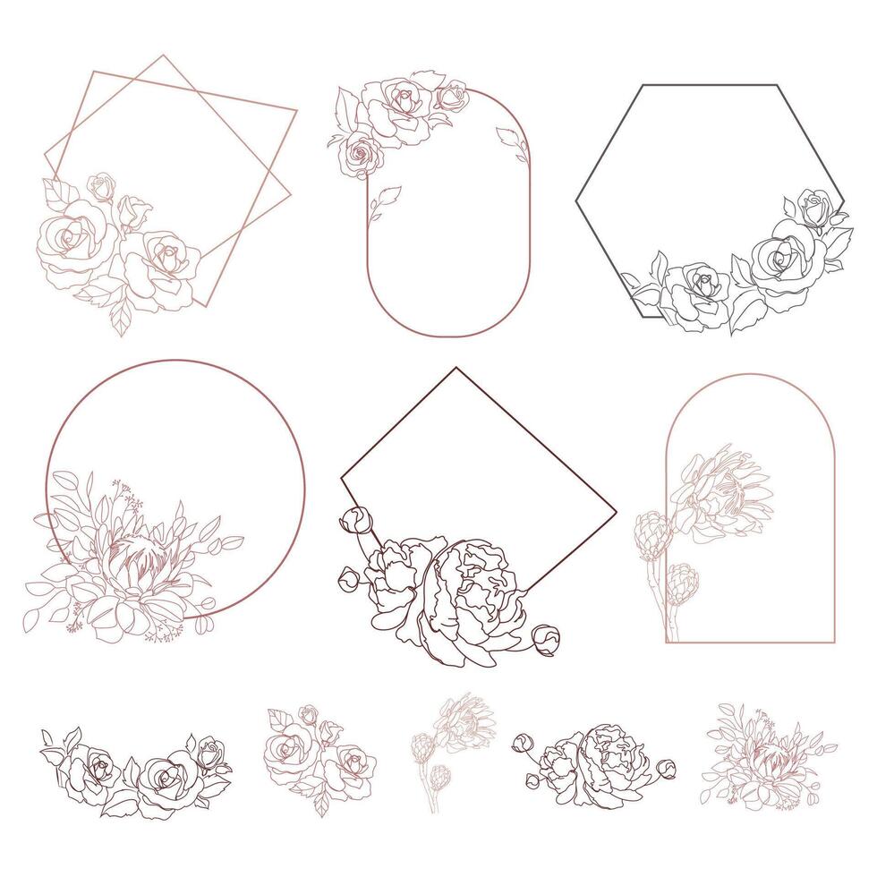 Hand drawn floral frames with, roses and peonies,protea. Floral elements are isolated for use. Elegant template. Botanical frame set of different shapes for labels, wedding , branding identity.Vector vector