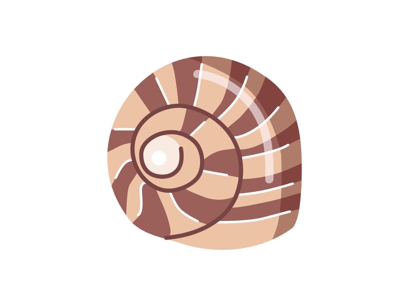 Sea shells vector illustration, mollusks. Flat illustration of seashell on white background. Ocean element for stickers.