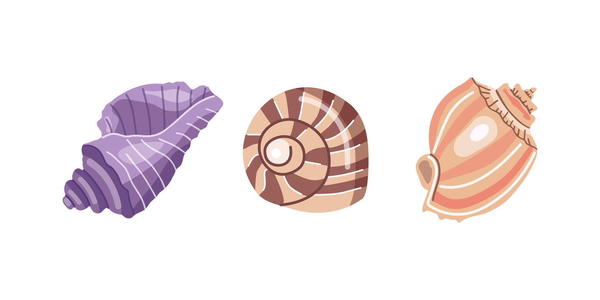 Sea shells vector set, mollusks. Flat illustration of various seashells on white background. Collection for stickers..