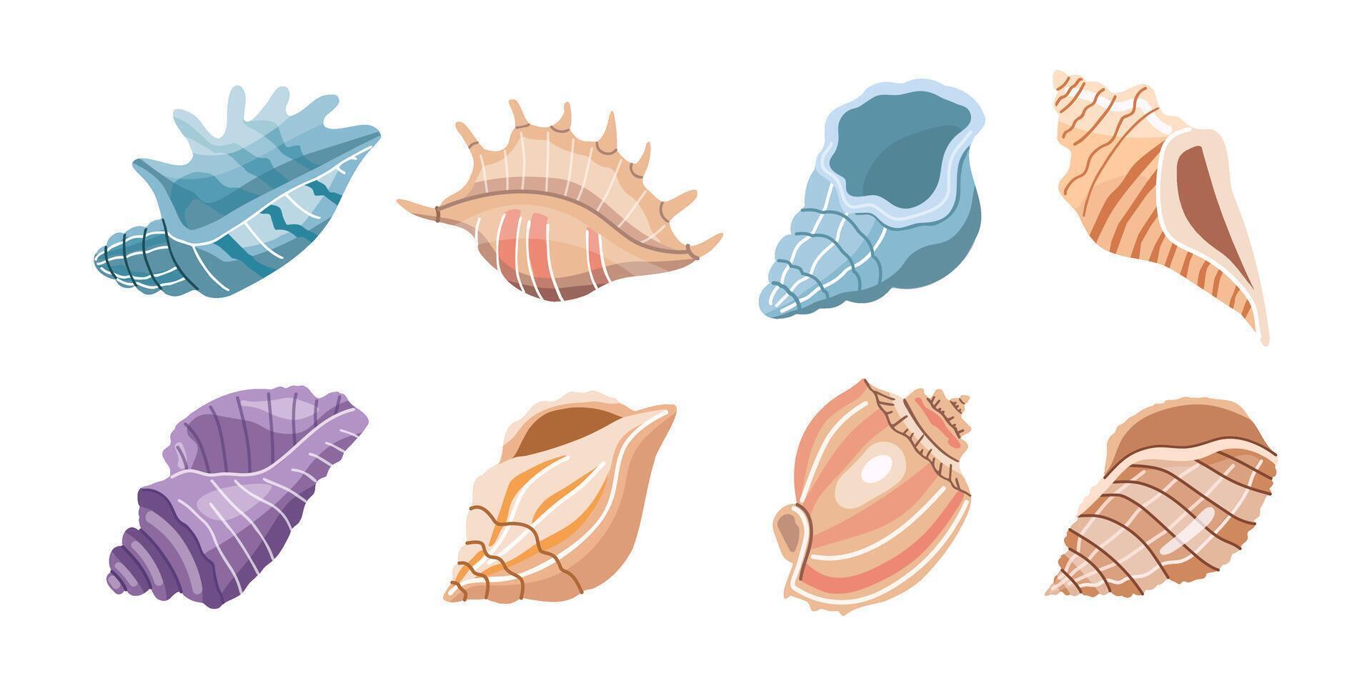 mar conchas vector colocar, moluscos plano ilustración de varios conchas marinas en blanco antecedentes. colección para pegatinas..