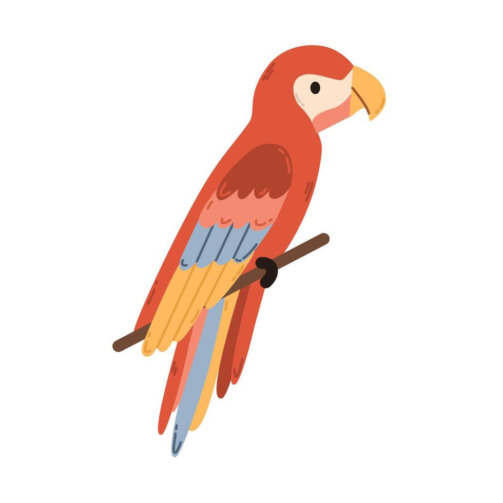 A single element is the macaw parrot Scarlet. Macaw sits on a branch.Jungle bird of South America and the Caribbean vector