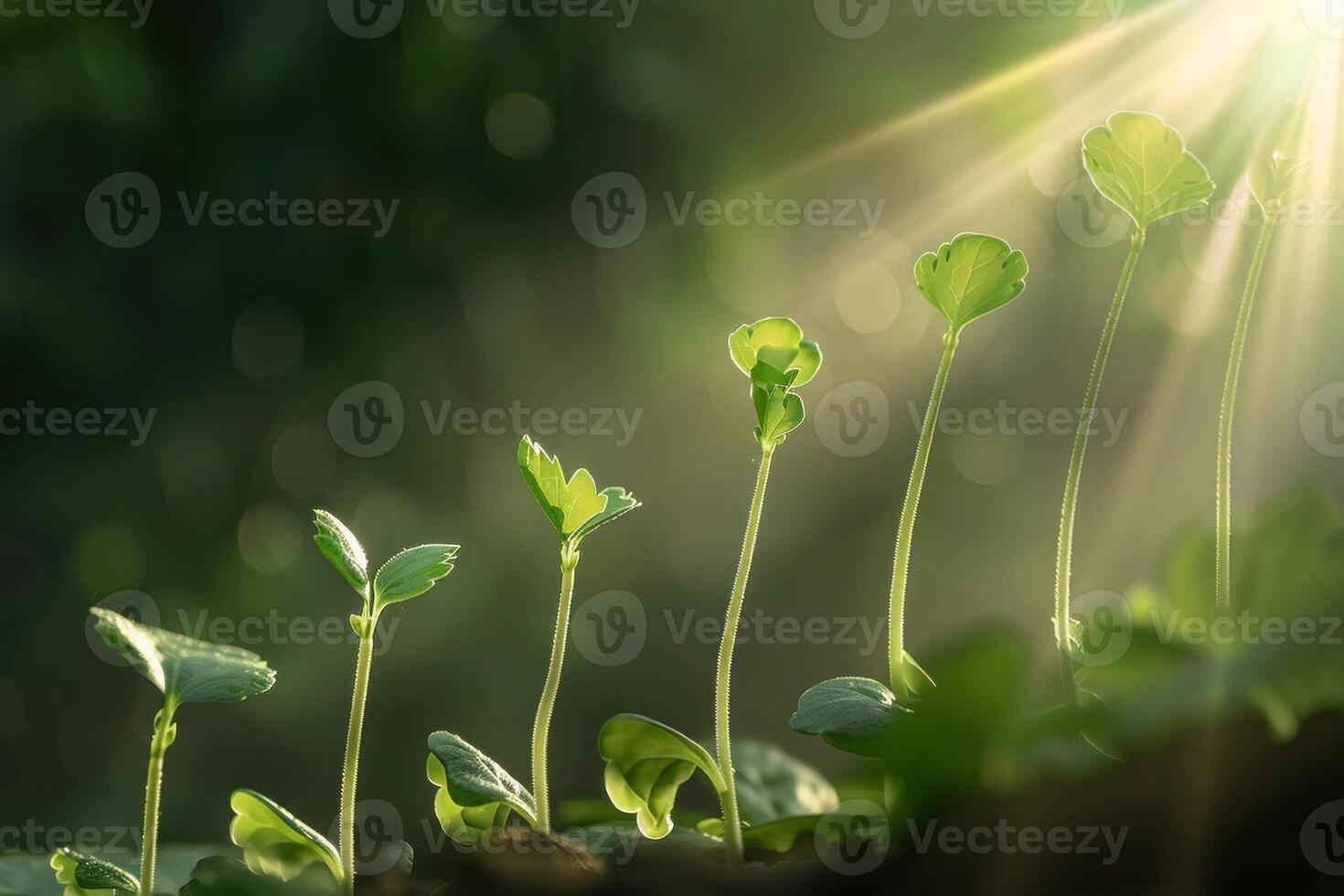 AI generated A sequential view of the growth stages of a plant from sprout to bloom photo
