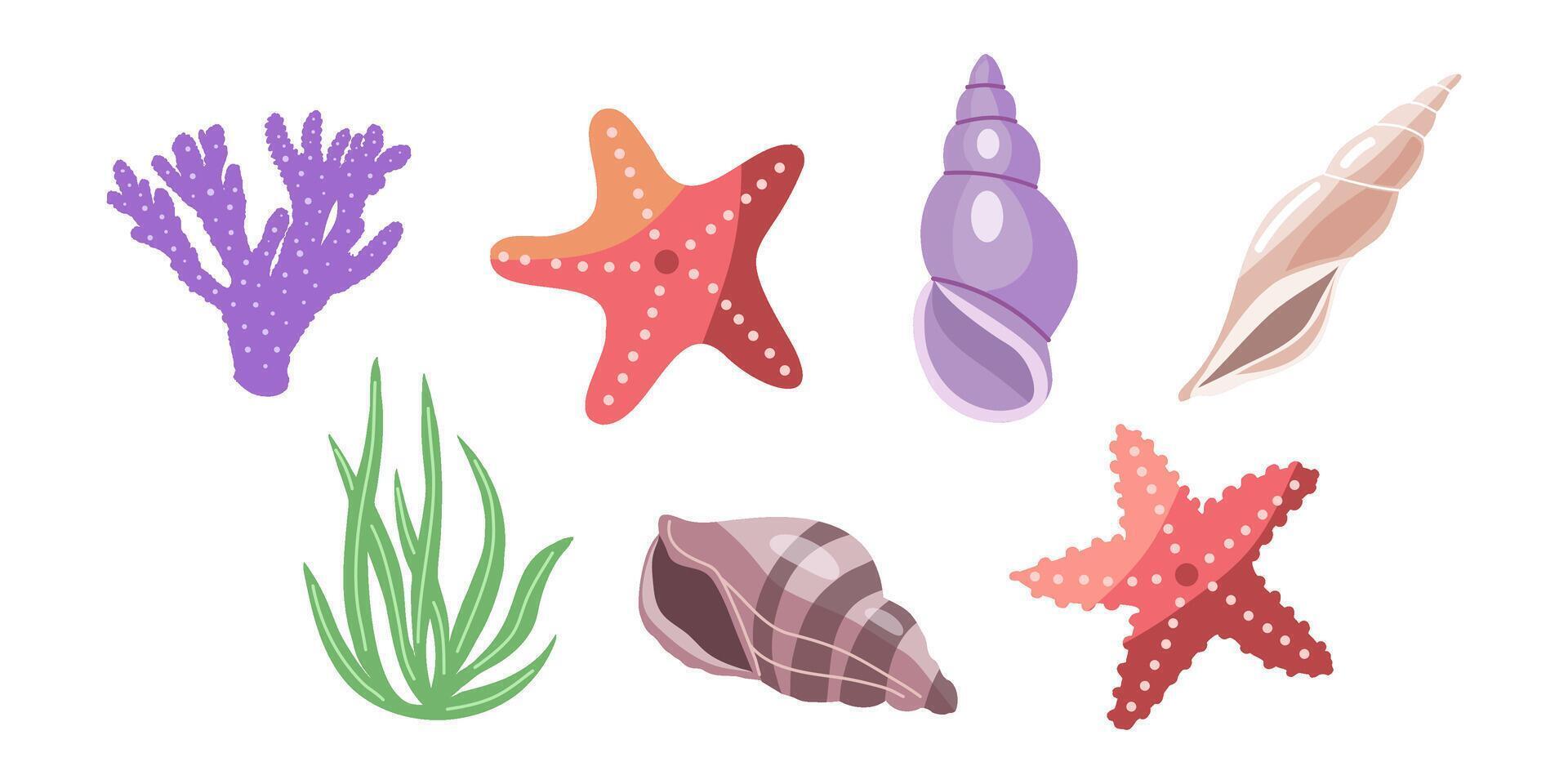 Sea shells vector set, mollusks, corals, algae, starfish. Flat illustration of various seashells on white background. Collection for stickers.